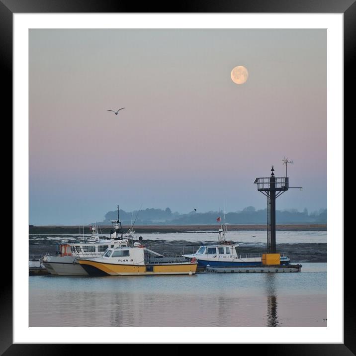 Moon down over Brightlingsea Harbour  Framed Mounted Print by Tony lopez