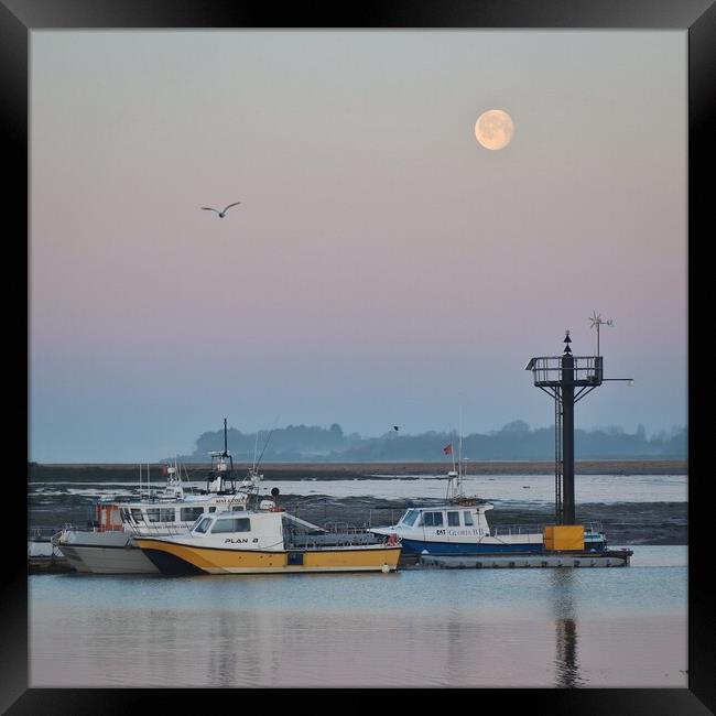 Moon down over Brightlingsea Harbour  Framed Print by Tony lopez