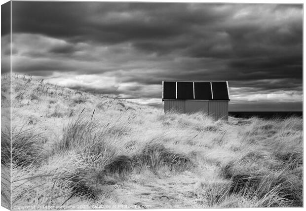 Shed in Dunes  Canvas Print by Peter Paterson