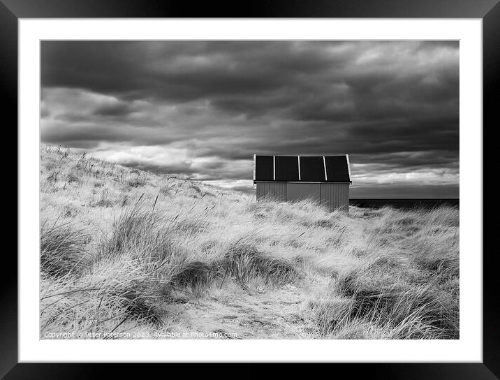 Shed in Dunes  Framed Mounted Print by Peter Paterson