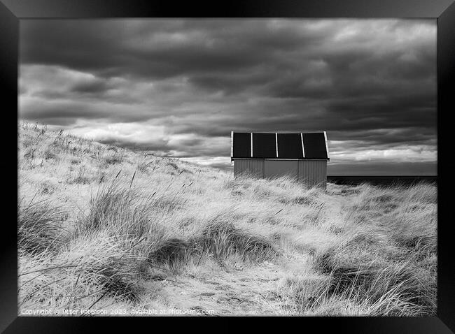 Shed in Dunes  Framed Print by Peter Paterson