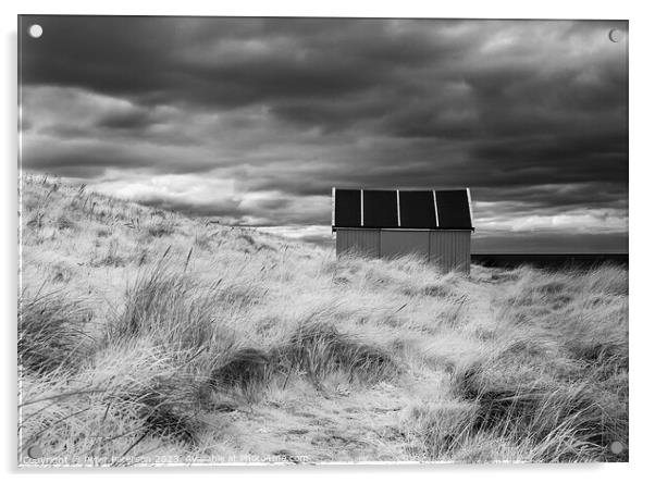 Shed in Dunes  Acrylic by Peter Paterson