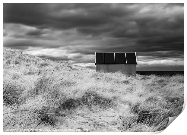 Shed in Dunes  Print by Peter Paterson