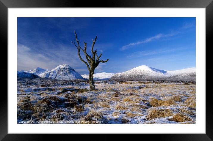 Dead Tree on Rannoch Moor Framed Mounted Print by Peter Paterson