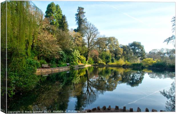 Early morning reflections at Cockington Lakes Canvas Print by Rosie Spooner