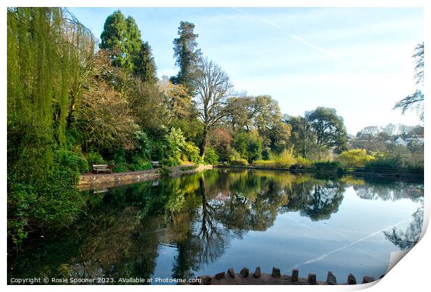 Early morning reflections at Cockington Lakes Print by Rosie Spooner