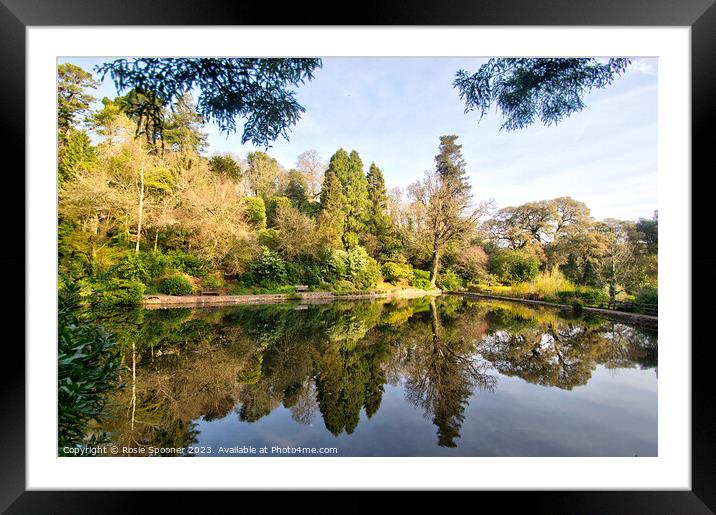 Reflections at Cockington Framed Mounted Print by Rosie Spooner
