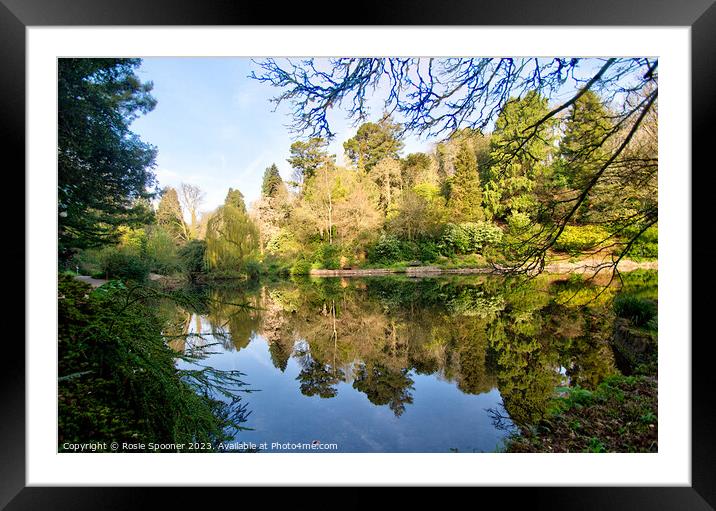Reflections at Cockington Torquay Framed Mounted Print by Rosie Spooner
