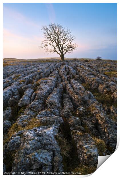 Lone Tree Print by Nigel Wilkins
