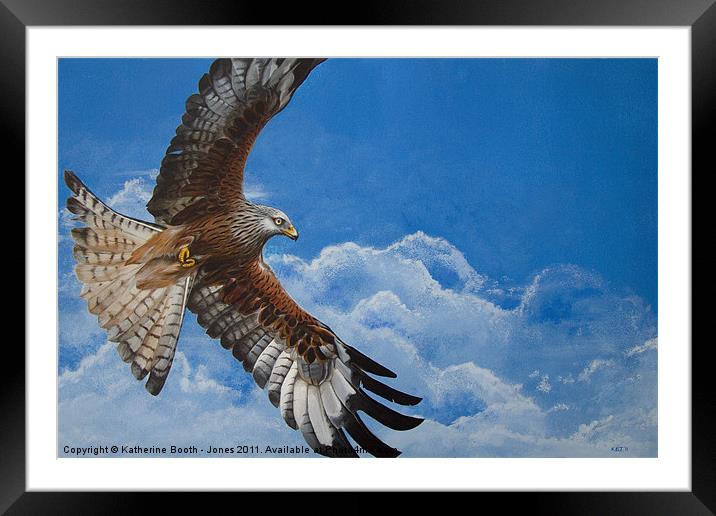 Red Kite Framed Mounted Print by Katherine Booth - Jones
