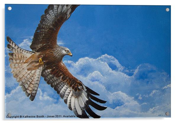 Red Kite Acrylic by Katherine Booth - Jones
