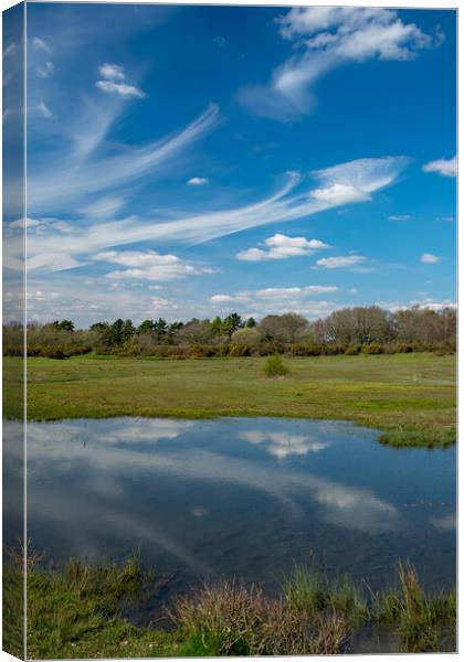 Spring afternoon at Greenham Common Canvas Print by Joyce Storey