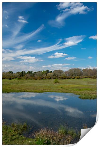 Spring afternoon at Greenham Common Print by Joyce Storey