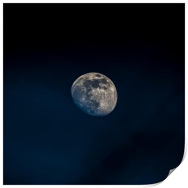 Moon on a blue night  Print by Martyn Large