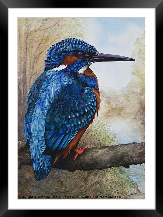 Kingfisher Framed Mounted Print by Katherine Booth - Jones