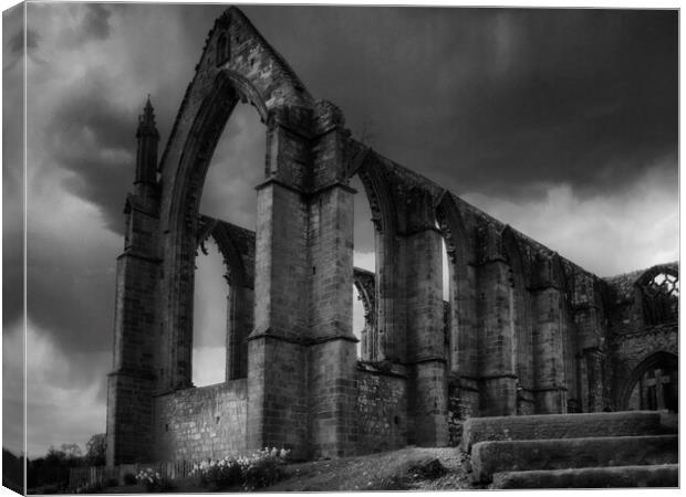 Bolton Abbey under a Stormy Sky Canvas Print by Glen Allen