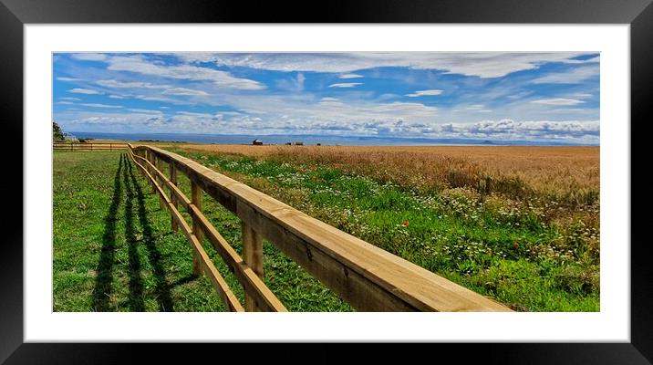 Fields of Anstruther Framed Mounted Print by Lowercase b Studio 