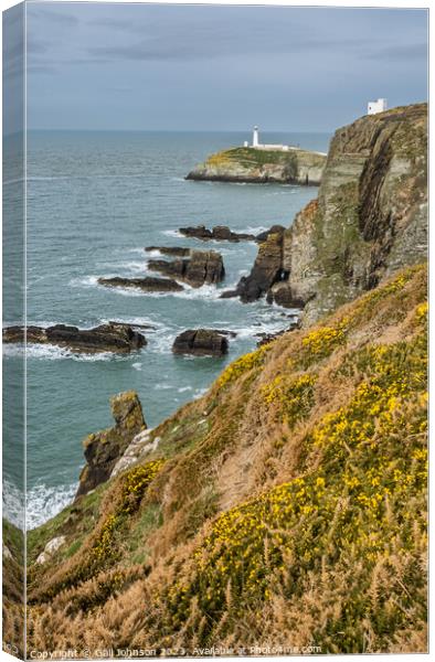 South Stack Lighthouse isle of Anglesey North Wales Canvas Print by Gail Johnson