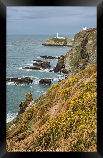 South Stack Lighthouse isle of Anglesey North Wales Framed Print by Gail Johnson