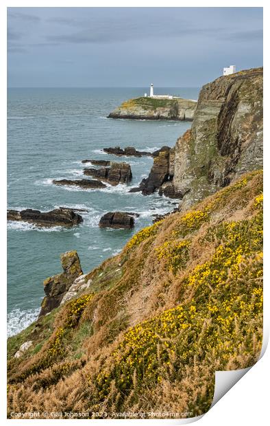 South Stack Lighthouse isle of Anglesey North Wales Print by Gail Johnson