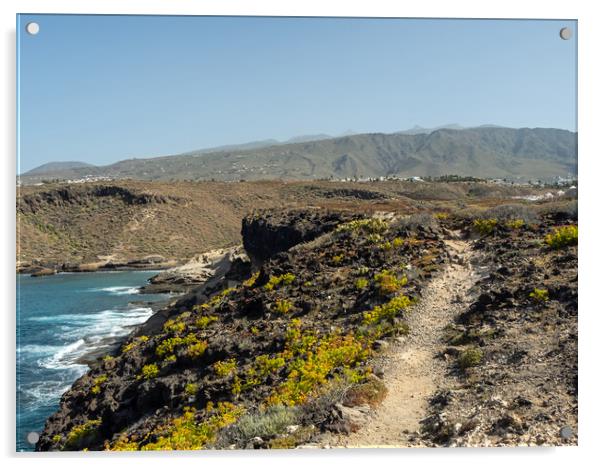 Coastal path at Tenerife Acrylic by Tony Twyman