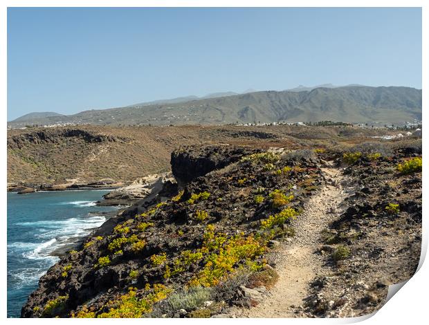 Coastal path at Tenerife Print by Tony Twyman