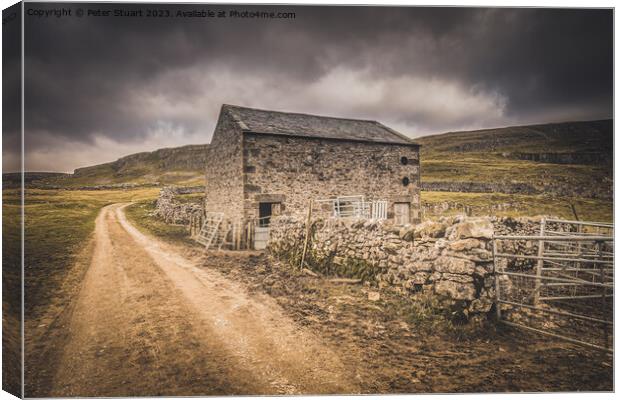 Yorkshire Dales barn on the Settle Loop above Lang Canvas Print by Peter Stuart