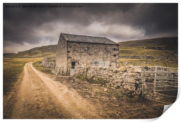 Yorkshire Dales barn on the Settle Loop above Lang Print by Peter Stuart