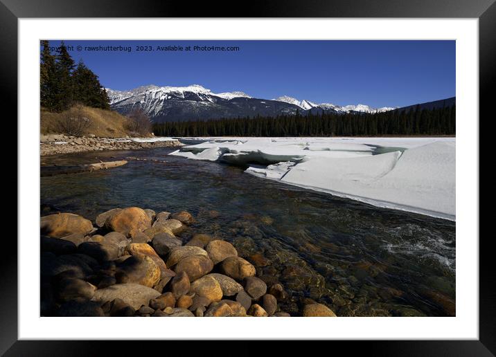 Icy Athabasca River Framed Mounted Print by rawshutterbug 