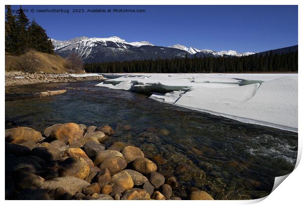 Icy Athabasca River Print by rawshutterbug 