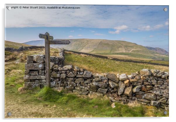 Fingerpost signpost in Barbondale saying Dent via Flinygill Acrylic by Peter Stuart