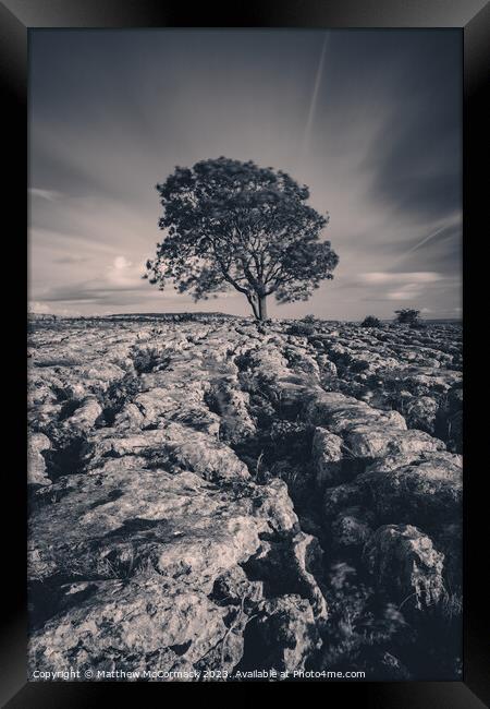 Perseverance Framed Print by Matthew McCormack