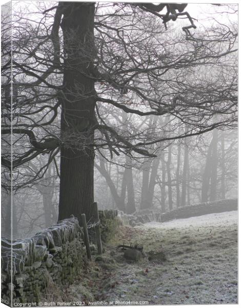 January frost in Haworth, West Yorkshire, England.  Canvas Print by Ruth Parker