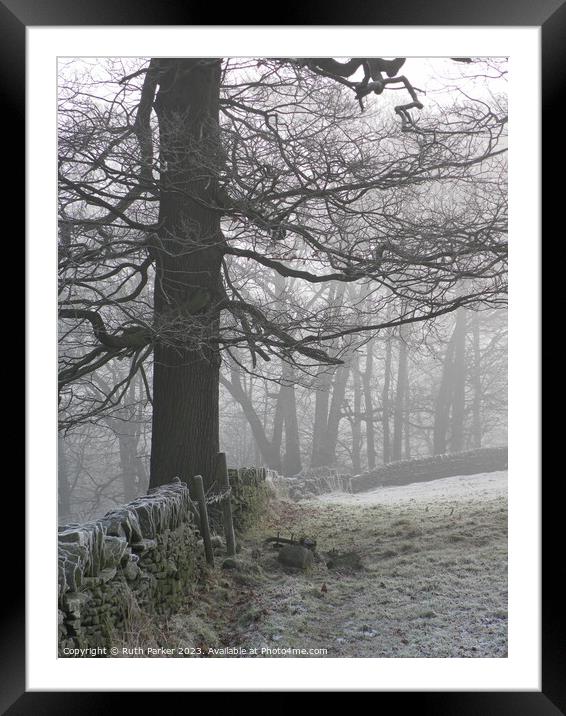 January frost in Haworth, West Yorkshire, England.  Framed Mounted Print by Ruth Parker