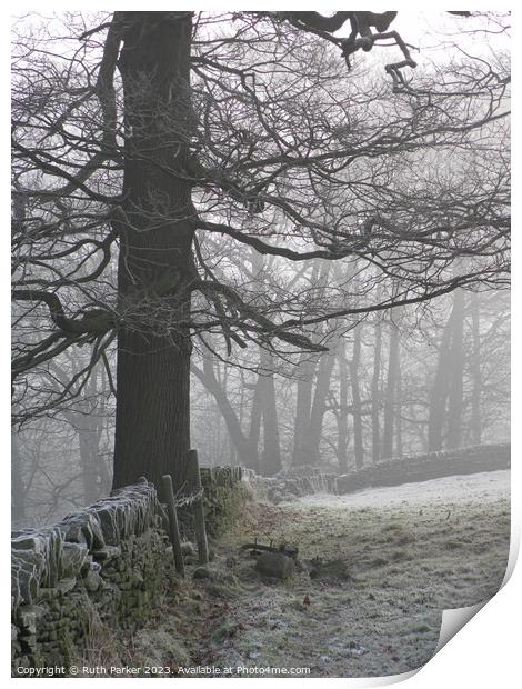 January frost in Haworth, West Yorkshire, England.  Print by Ruth Parker