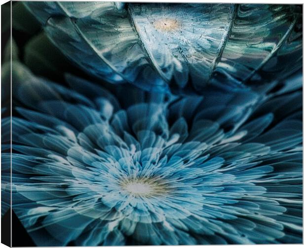 The Blue Dahlia Canvas Print by kathy white