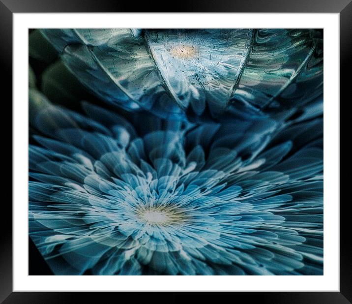 The Blue Dahlia Framed Mounted Print by kathy white