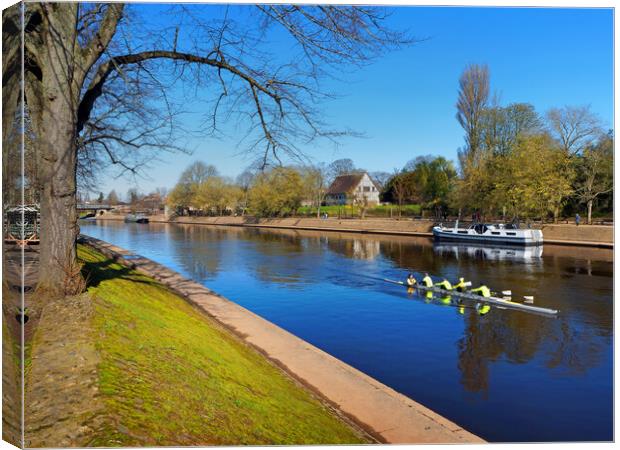 Rowing the River Ouse in York Canvas Print by Darren Galpin