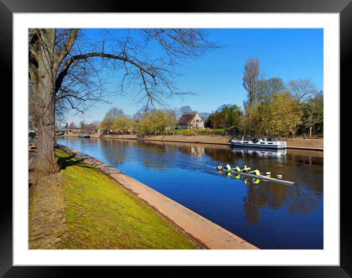 Rowing the River Ouse in York Framed Mounted Print by Darren Galpin