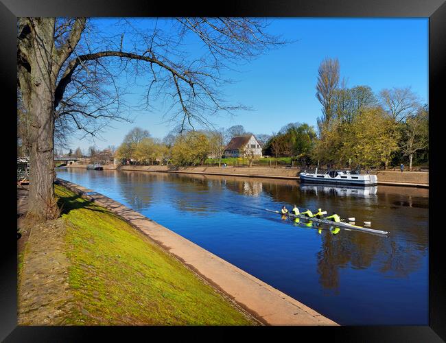 Rowing the River Ouse in York Framed Print by Darren Galpin