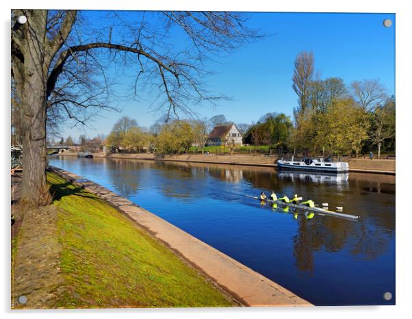 Rowing the River Ouse in York Acrylic by Darren Galpin
