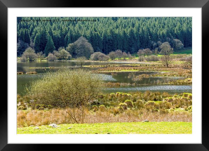 Upper End of the Talybont Reservoir Brecon Beacons Framed Mounted Print by Nick Jenkins