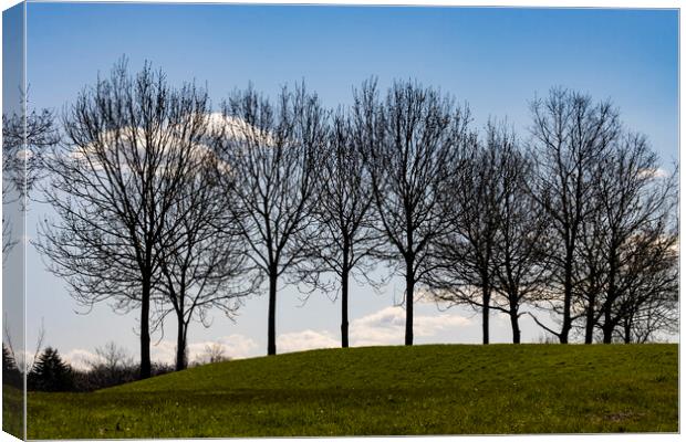 Trees atop a Hill Canvas Print by Glen Allen