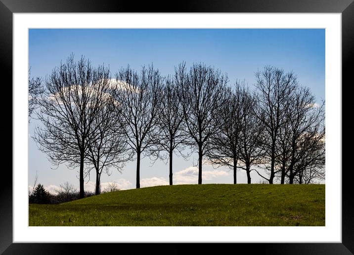 Trees atop a Hill Framed Mounted Print by Glen Allen