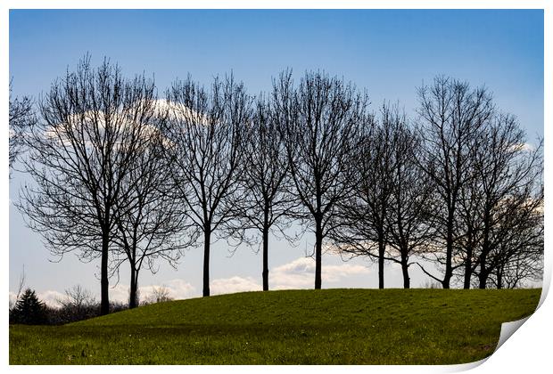 Trees atop a Hill Print by Glen Allen