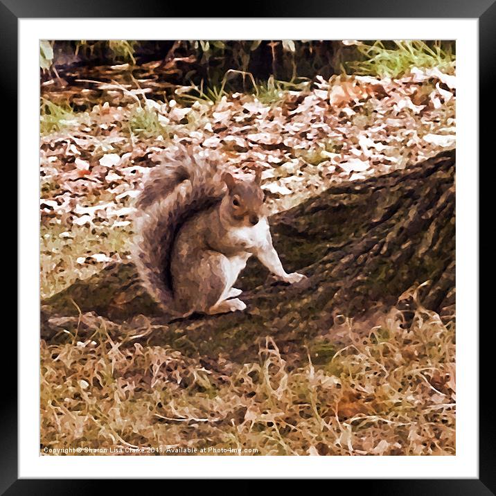 Squirrel Nutkin Framed Mounted Print by Sharon Lisa Clarke