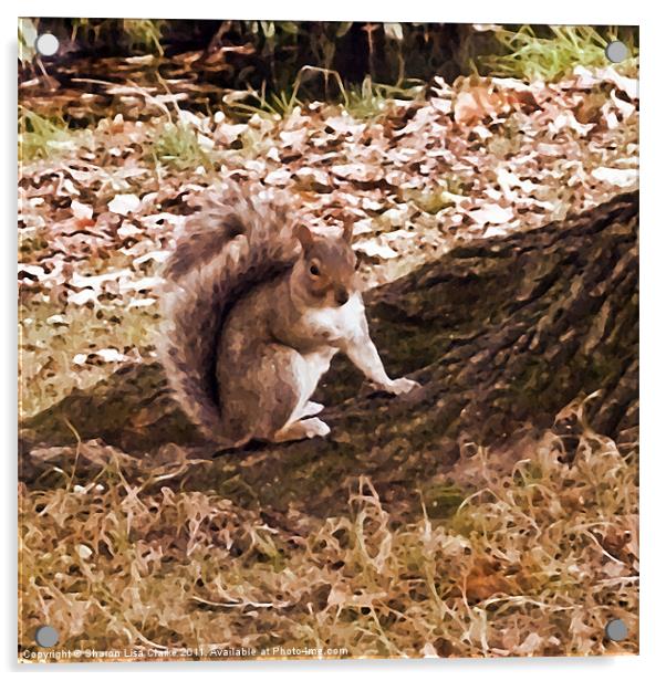 Squirrel Nutkin Acrylic by Sharon Lisa Clarke