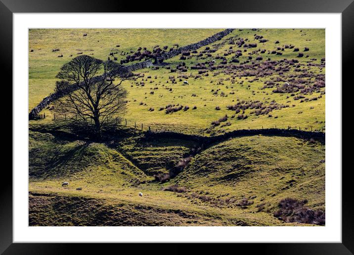 Scenes of Yorkshire Spring 2023 Framed Mounted Print by Glen Allen
