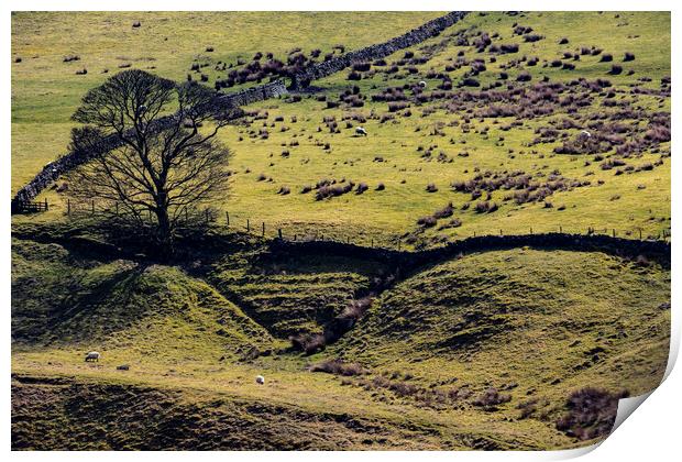 Scenes of Yorkshire Spring 2023 Print by Glen Allen