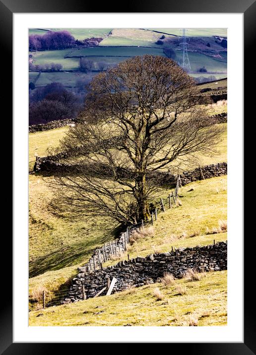 Scenes of Yorkshire 2023 02 Framed Mounted Print by Glen Allen